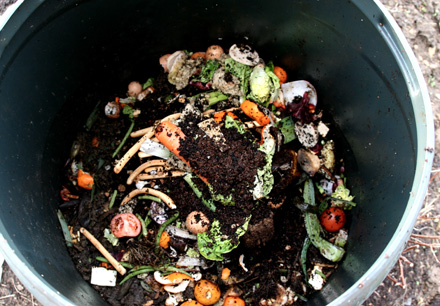 Composting and Food Scrap Odor Conrol